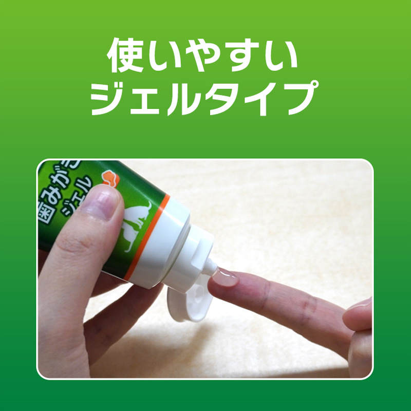 ペットケア用品 PETKISS歯みがきジェルチキン風味 40g