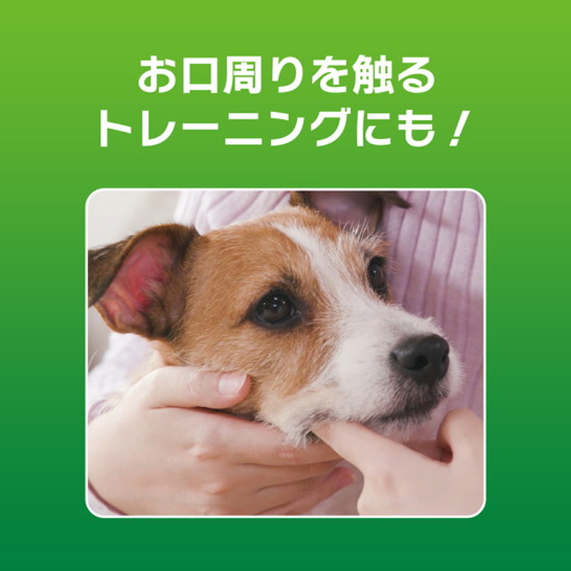 ペットケア用品 PETKISS歯みがきジェルチキン風味 40g