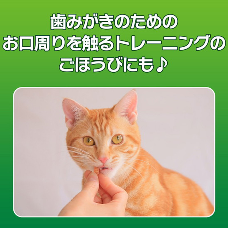 PETKISSネコちゃんの歯みがきおやつササミチーズ 20g