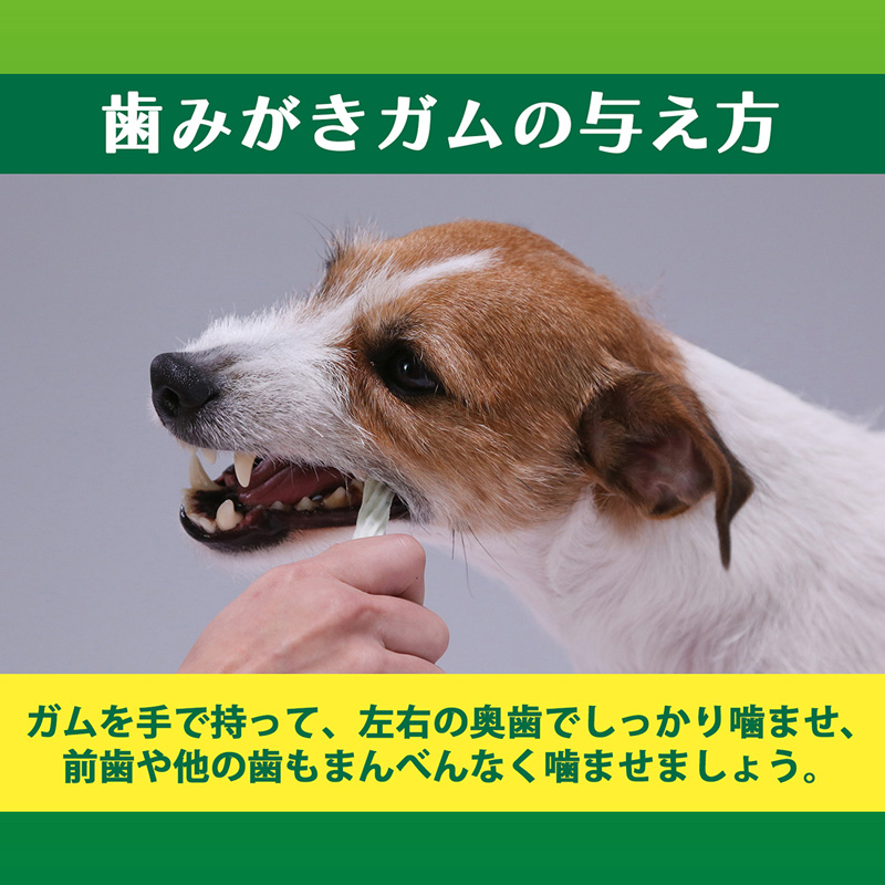 PETKISS 食後の歯みがきガム 小型犬用 135g