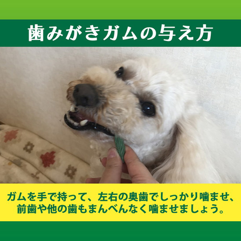 PETKISS 食後の歯みがきガム超やわらかタイプ 90g