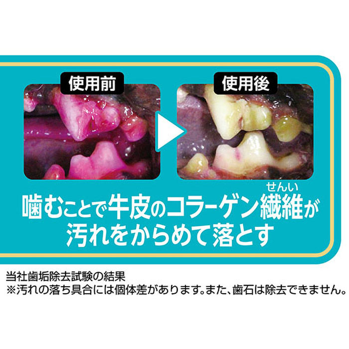 プラクト デンタルガム超小型ハード 70g