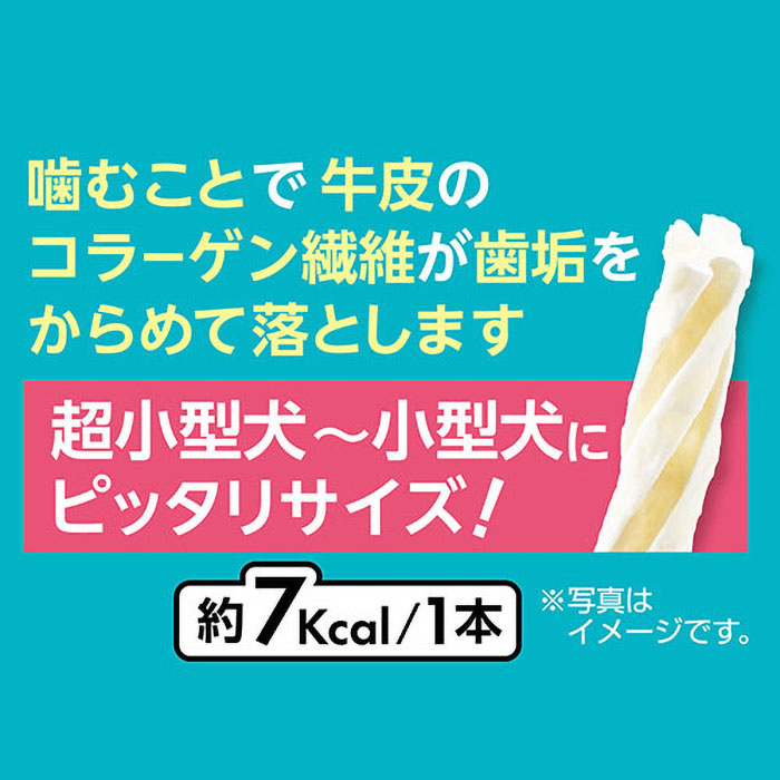 プラクト デンタルガム超小型ハード 70g