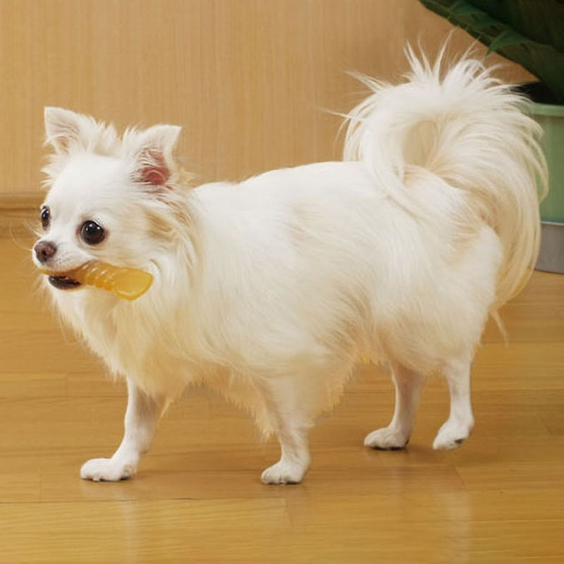 かんでるCORNツイストチキン風味SS