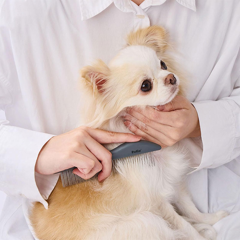 犬猫用 FIXCARE 持ちやすい 粗目細目ダブルコーム 1個