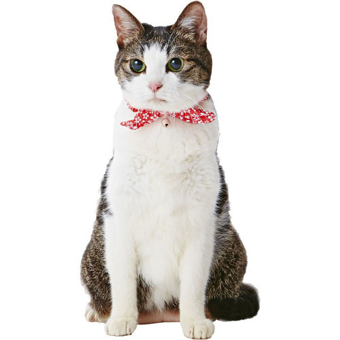 猫小町シュシュ 桜 レッド