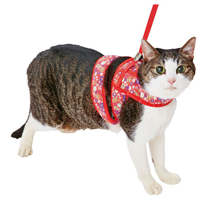 猫小町ソフトハーネスリード まり M レッド