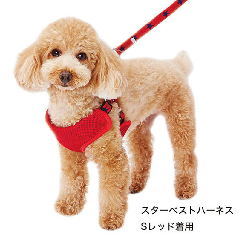 メリカジ スターベストハーネス S レッド