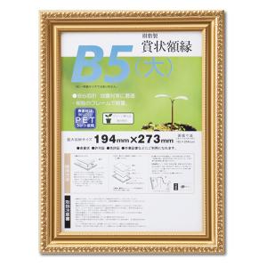 賞状額 金消ーR PET B5(大) SP 1枚