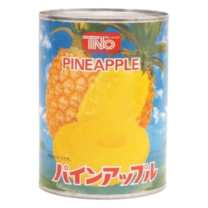 TNO パインアップル スライス10枚 565g