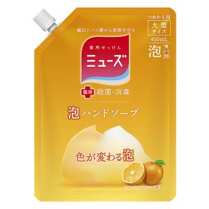 薬用石鹸 泡ミューズフルーティフレッシュ大型詰替【医薬部外品】 450ml