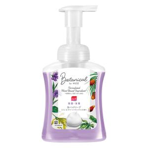 薬用石鹸 泡ミューズ ボタニカル 本体【医薬部外品】 250ml すみれ＆イランイラン