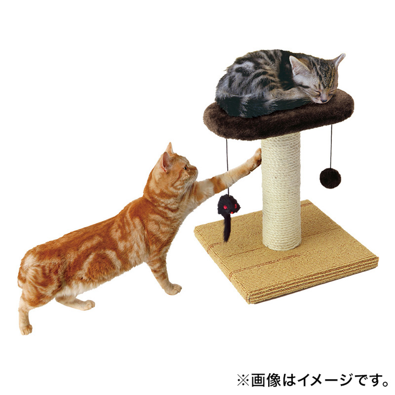 どこでもツメとぎ お昼ねタワー
