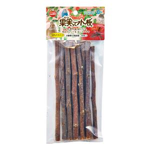 果実って小枝 りんご 10本