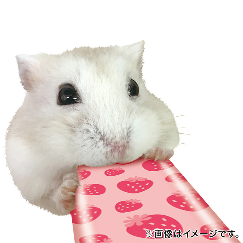はむはむぴゅーれ イチゴ風味5g×6本