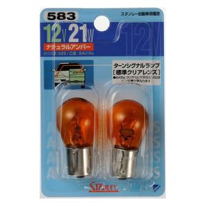電球 2個入