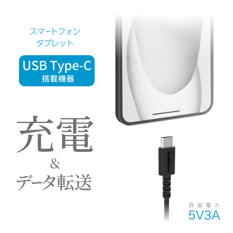 充電&同期ケーブルA→C 1.2m 25g ブラック