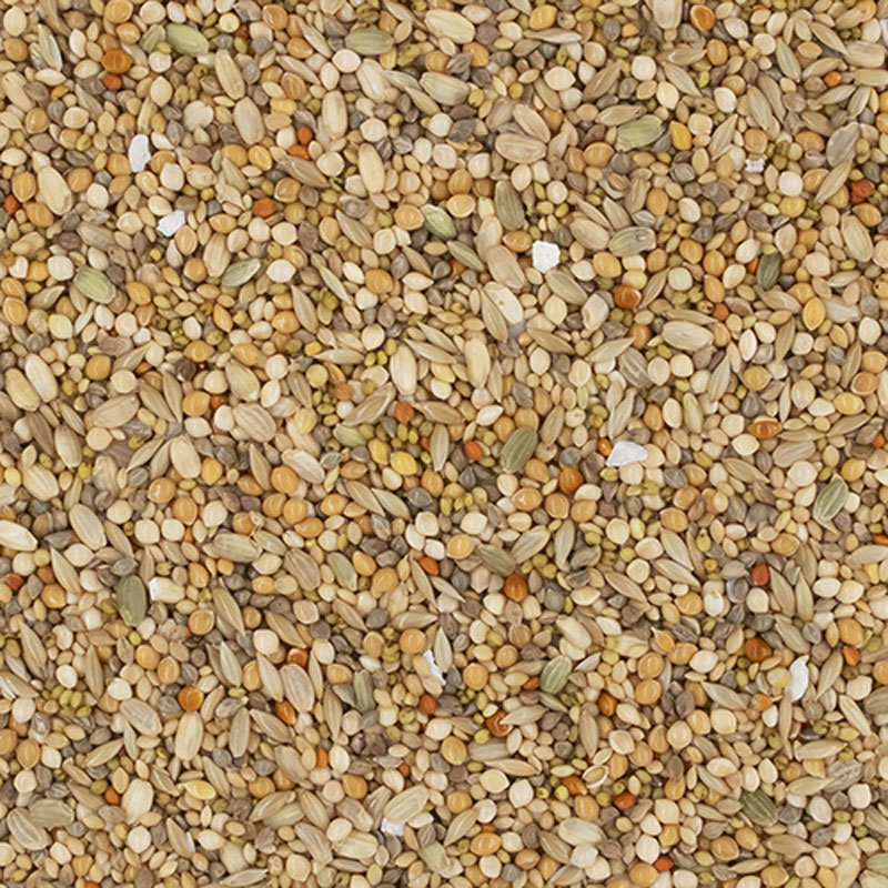 エクセル 文鳥 600g 皮付き