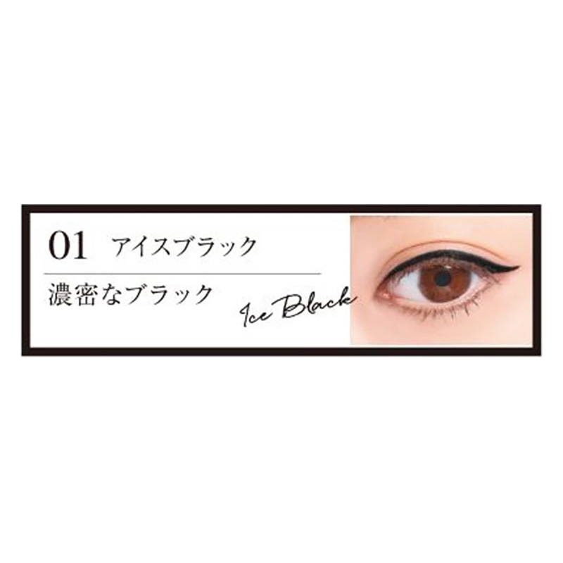 1DAY TATTOO プロキャスト ザ・アイライナー01 アイスブラック