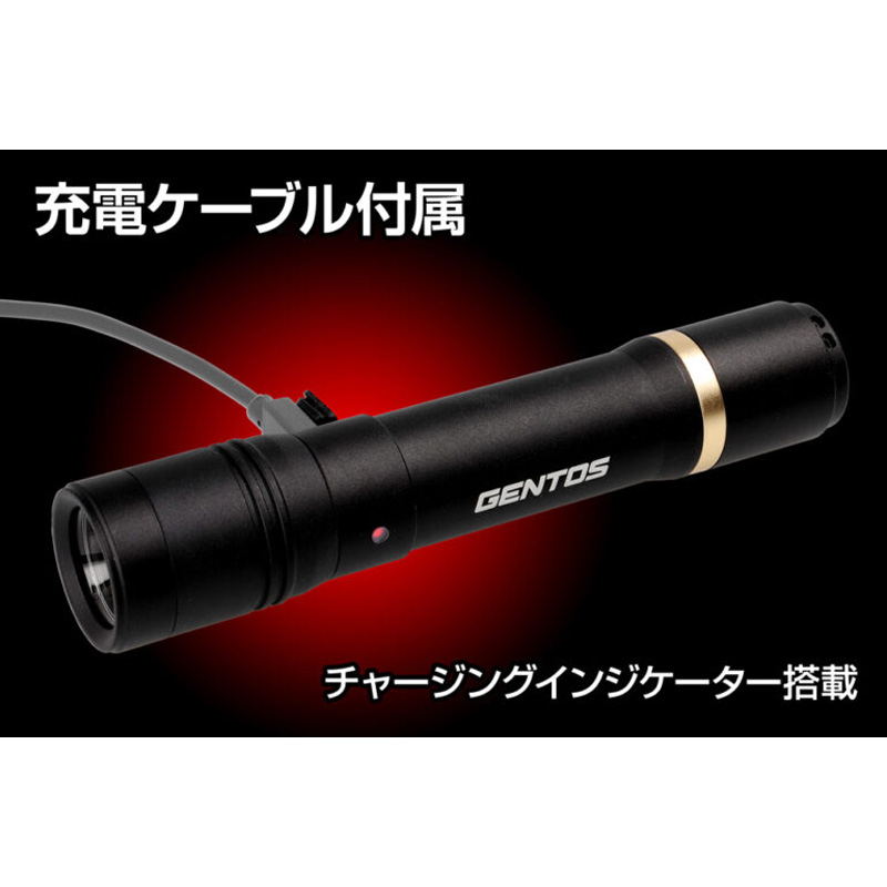 充電式LEDハンディライト レクシード286R