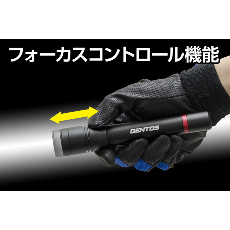 LEDハンディライト レクシード332D