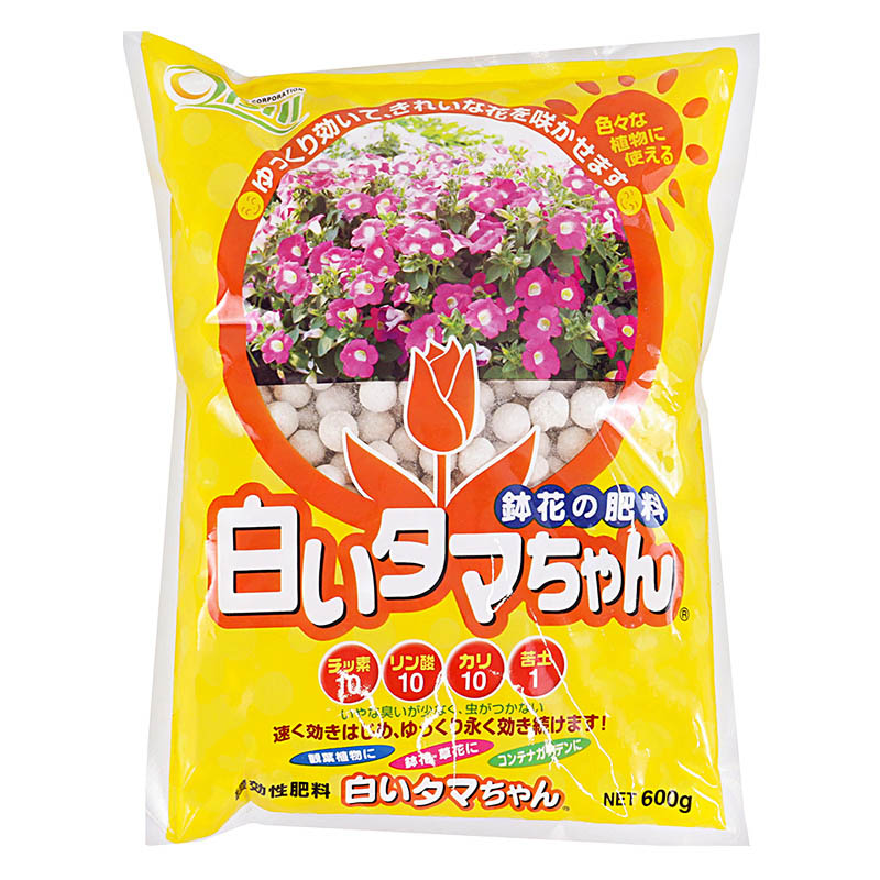 白いタマちゃん