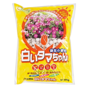 白いタマちゃん