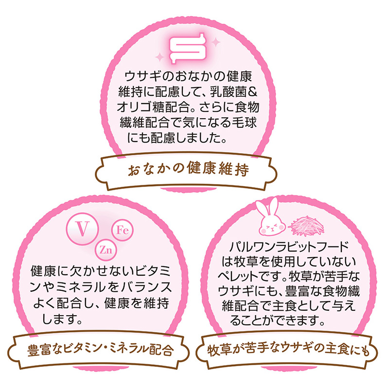 ラビットフード パルone フルーツ味 600g