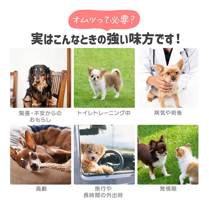 ペットおむつ ピタフィット S 36枚 女の子