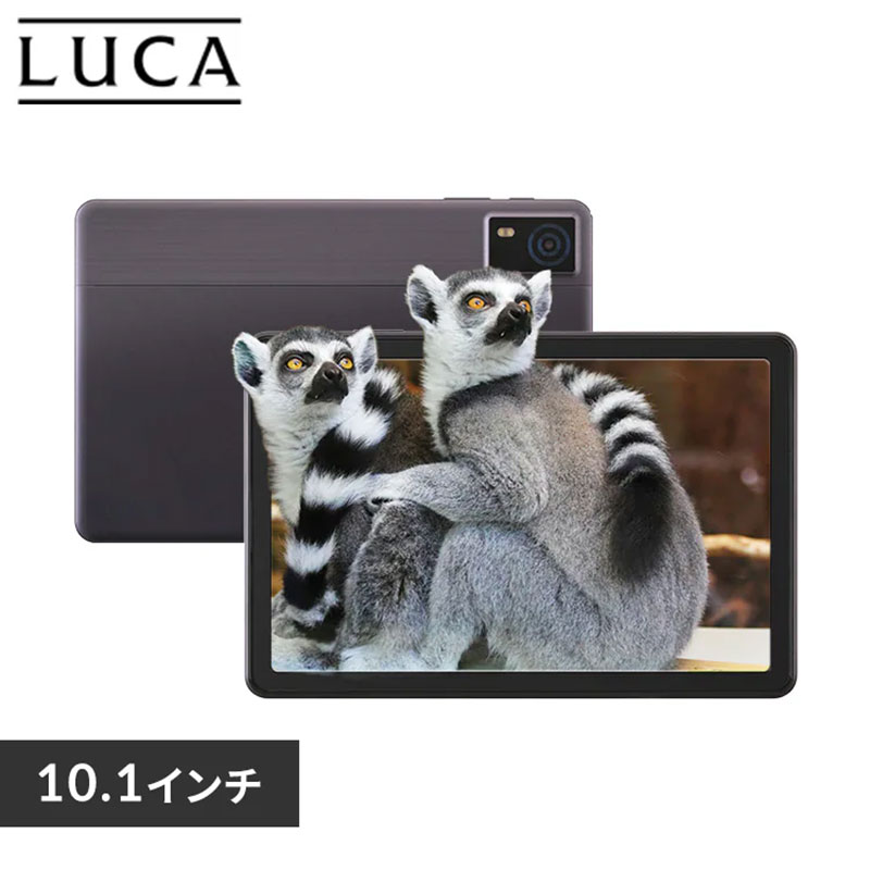 タブレット ヘッドピンモデル TA10E1W63-V1H シルバー