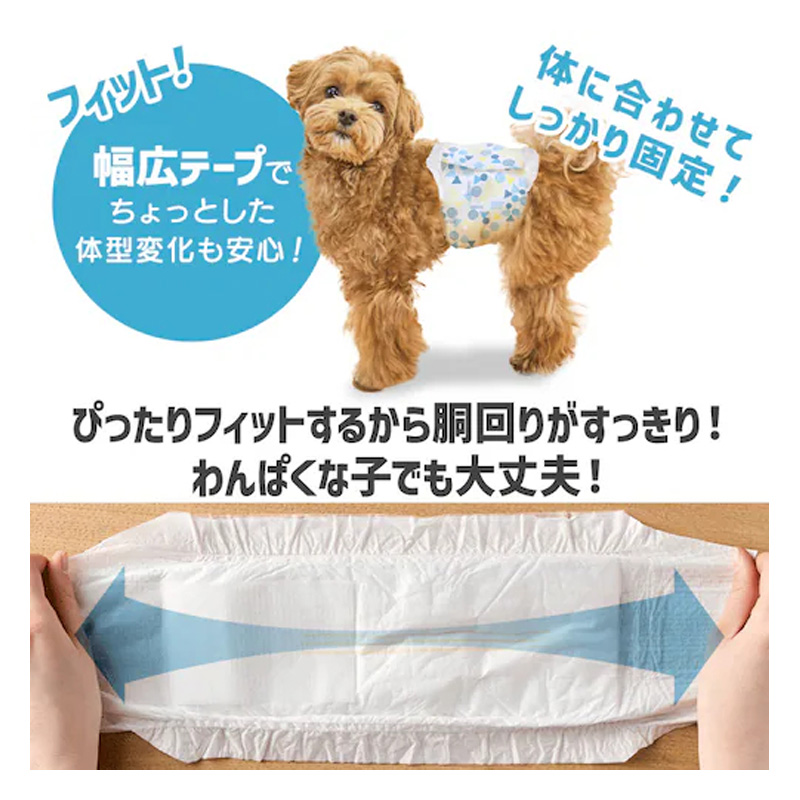 ペットおむつ ピタフィット M 42枚 男の子