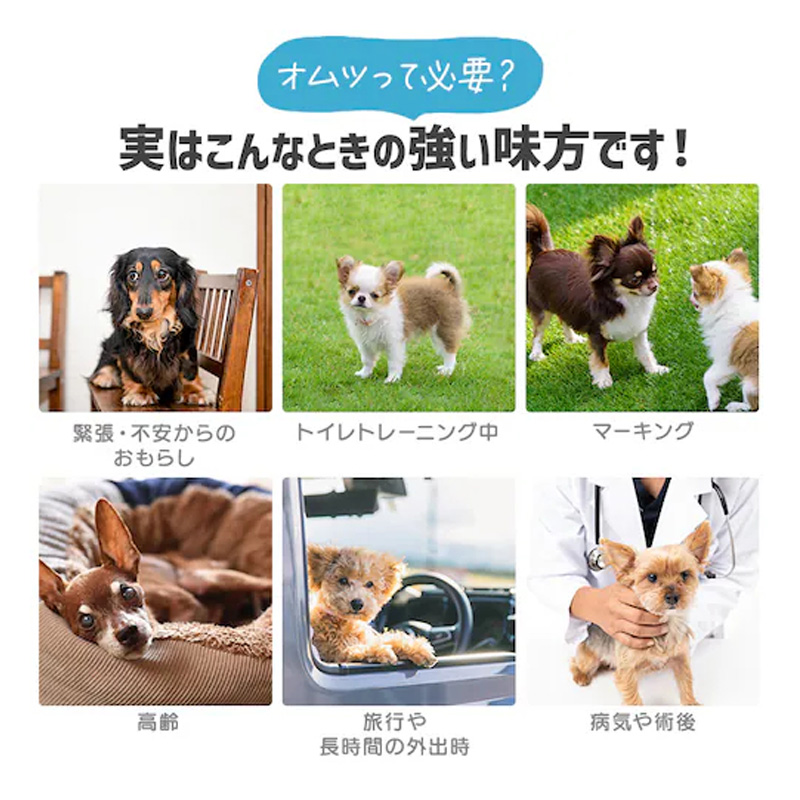 ペットおむつ ピタフィット M 42枚 男の子