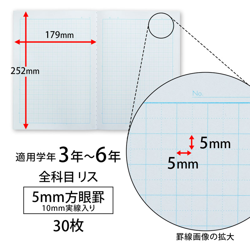 スクールキッズ 全科目 5mm方眼罫 10mm実線入り イエロー