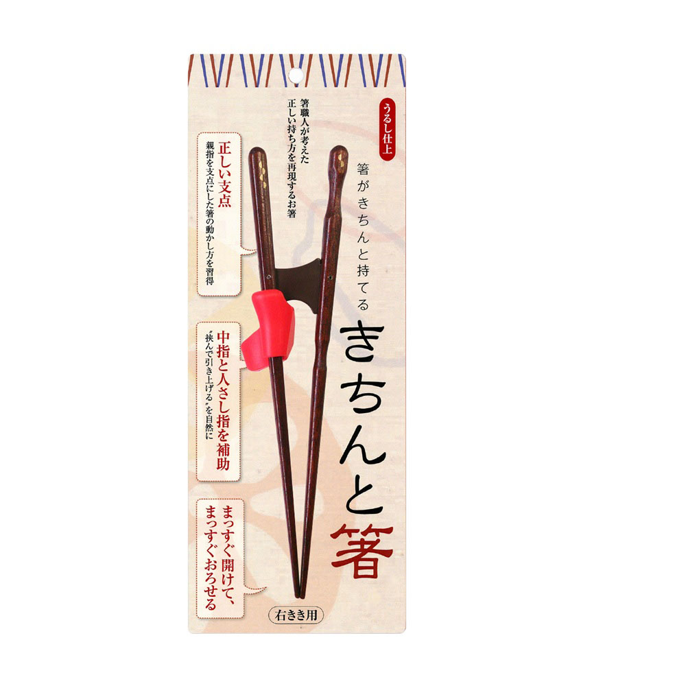 大人用 矯正箸 きちんと箸 21cm