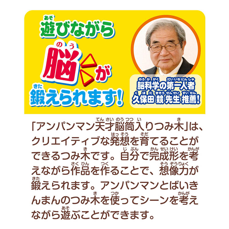 アンパンマン 天才脳筒入りつみ木