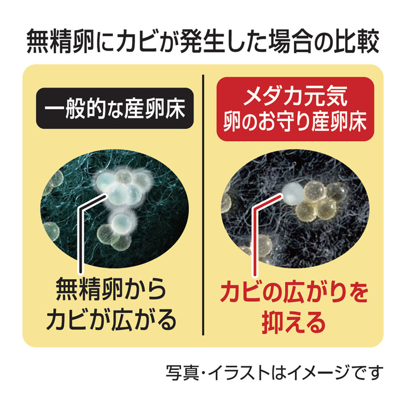 メダカ元気 卵のお守り産卵床 4色セット