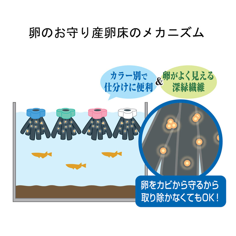 メダカ元気 卵のお守り産卵床 4色セット