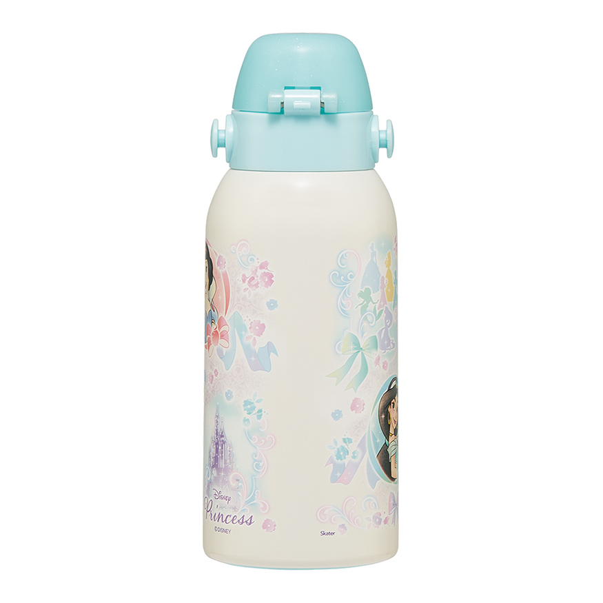 ダイレクトステンレスボトル 保冷専用 600ml ショルダーベルト付き ディズニープリンセス25