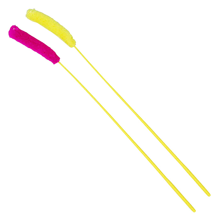 ネコジャラシ