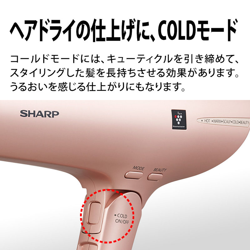 【お取り寄せ商品】プラズマクラスタードライヤー IB-NP9V コズミックパープル