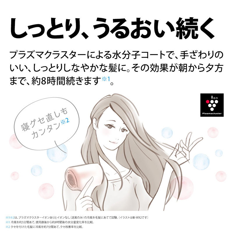 【お取り寄せ商品】プラズマクラスタードライヤー IB-NP9V コズミックパープル
