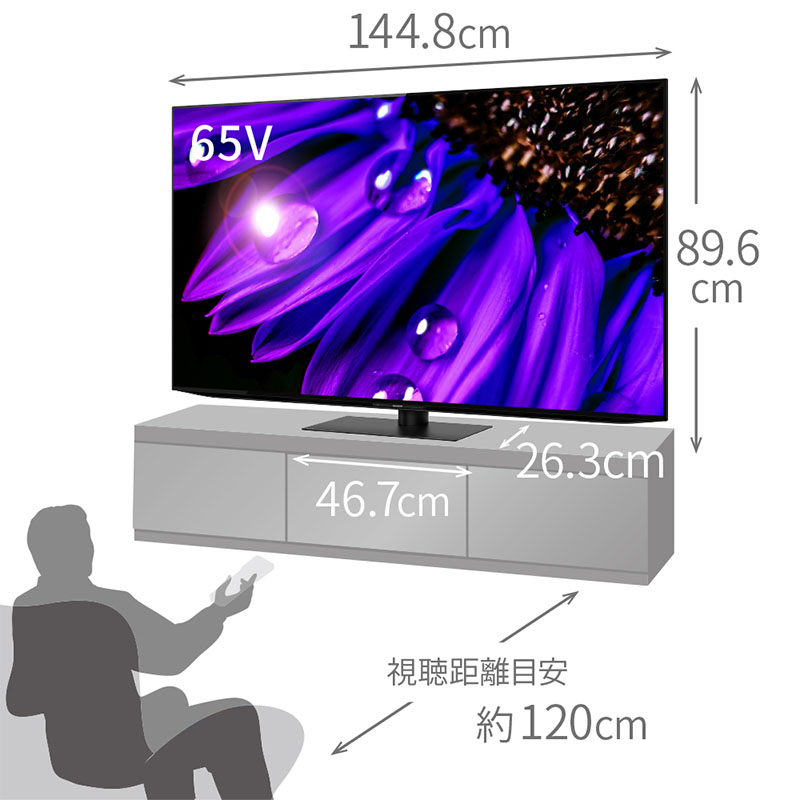 【お取り寄せ商品】AQUOS OLED 65型 4K有機ELテレビ 4T-C65EQ1