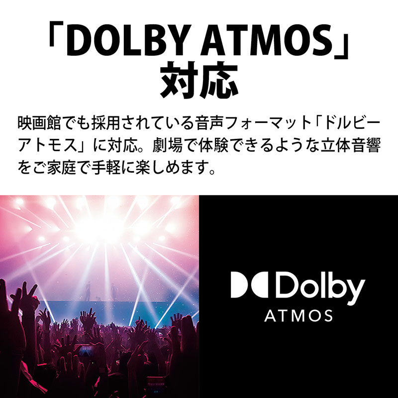 【お取り寄せ商品】AQUOS OLED 65型 4K有機ELテレビ 4T-C65EQ1