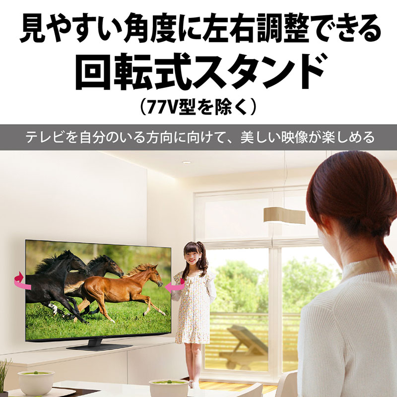 【お取り寄せ商品】AQUOS OLED 65型 4K有機ELテレビ 4T-C65EQ1