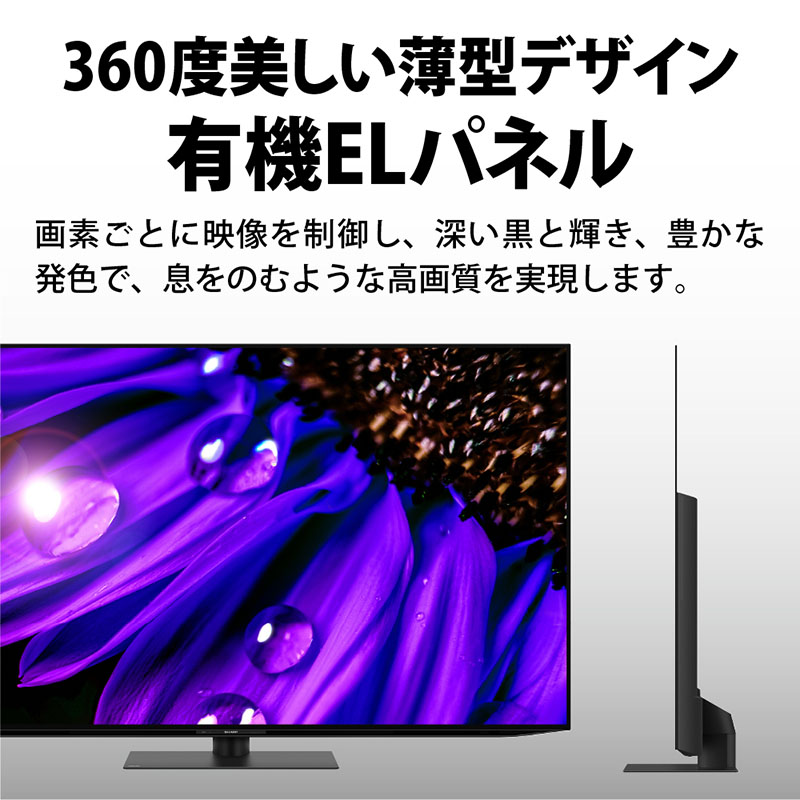 【お取り寄せ商品】AQUOS OLED 65型 4K有機ELテレビ 4T-C65EQ1