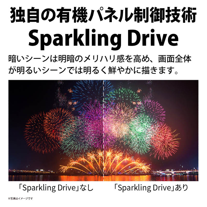 【お取り寄せ商品】AQUOS OLED 65型 4K有機ELテレビ 4T-C65EQ1
