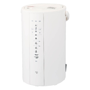 スチーム式加湿器 EE-DG50-WA ホワイト