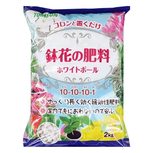 鉢花の肥料 ホワイトボール