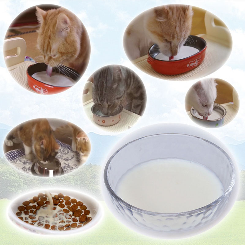 ねこちゃんの国産牛乳 1歳までの成長期用 200ml