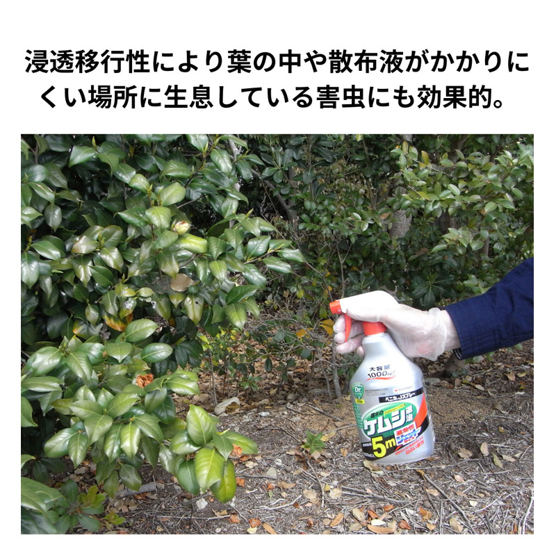 ベニカJスプレー